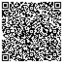 QR code with Precise Construction contacts