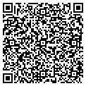 QR code with Bvti contacts