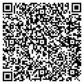 QR code with C Flora contacts
