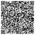 QR code with Shell contacts