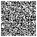 QR code with Purcellville Circuit contacts
