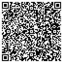 QR code with Carilion Services Inc contacts