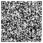 QR code with Brinks Carpet Service contacts