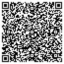 QR code with Professional Opticians contacts