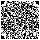 QR code with Pulpwood and Logging Inc contacts