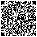 QR code with Pyro Spectaculars Inc contacts