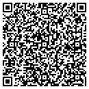 QR code with Public Libraries contacts