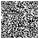 QR code with Pulaski Networks LLC contacts