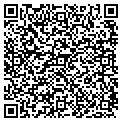 QR code with Stsi contacts