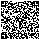 QR code with Psv Properties LLC contacts