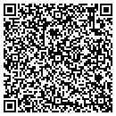 QR code with Professional Painting contacts