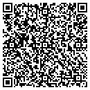 QR code with Precision Auto Care contacts