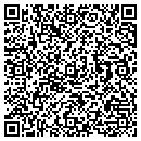 QR code with Public Works contacts