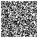 QR code with Pulse Co Division contacts