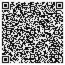 QR code with Pulaski Networks contacts