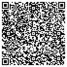 QR code with Pluntke Dieter Decorating Inc contacts