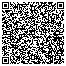 QR code with Pulse Communications Inc contacts