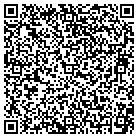 QR code with C D Irrigation Services Inc contacts