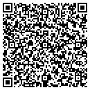 QR code with Public Libraries contacts