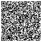 QR code with Professional Model Workshop contacts
