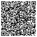 QR code with A Plus contacts