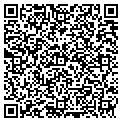 QR code with Vivaco contacts
