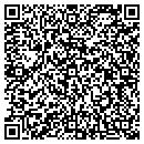 QR code with Borovies Realty LLC contacts