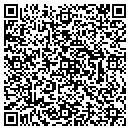QR code with Carter Valarie L MD contacts