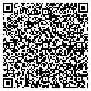 QR code with Pro Handyman Service contacts