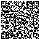 QR code with Public Storage contacts
