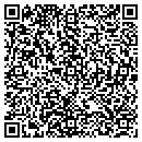 QR code with Pulsar Informatics contacts