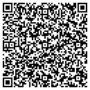 QR code with Premier Wireless contacts