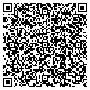 QR code with Blue Ridge Interiors contacts