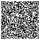 QR code with Providence Mining Inc contacts
