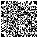 QR code with Provident contacts