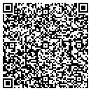 QR code with Print Stitch contacts
