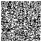 QR code with Public Works Solutions LLC contacts