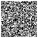 QR code with Premiere Conferencing contacts