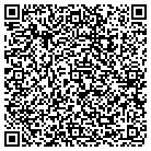 QR code with Pulpwood & Logging Inc contacts