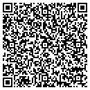 QR code with Ppd Pharmaco contacts