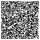 QR code with P3 Consulting contacts