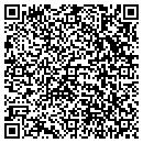 QR code with C L T Asphalt Service contacts