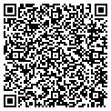 QR code with Techlab contacts