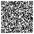 QR code with Shell contacts