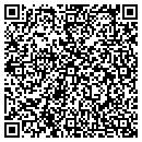 QR code with Cyprus Painting Inc contacts