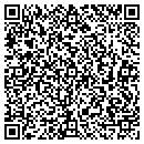 QR code with Preferred Auto Glass contacts