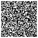 QR code with Cirrus Software Inc contacts