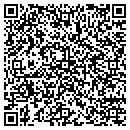 QR code with Public Works contacts