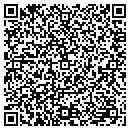 QR code with Predicate Logic contacts