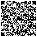 QR code with Practical Solutions contacts
